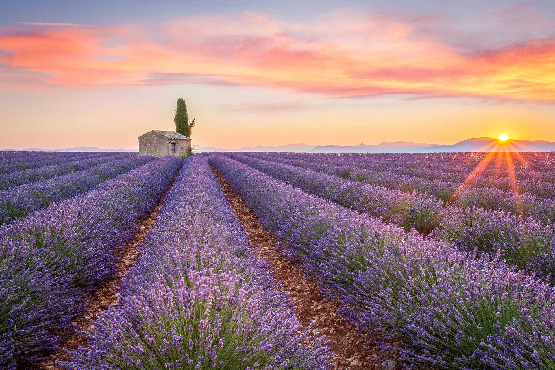 Édition Provence 2026